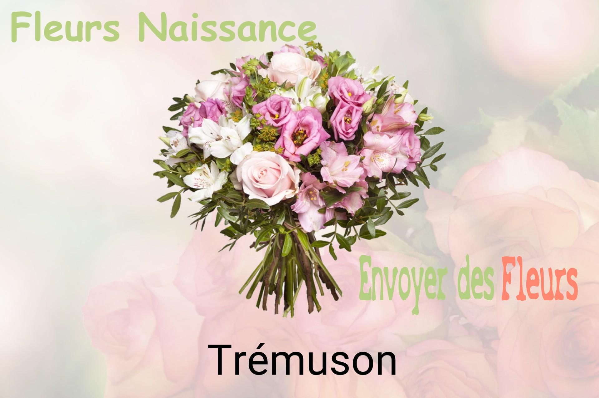 Bouquet de fleurs de naissance livré à Trémuson