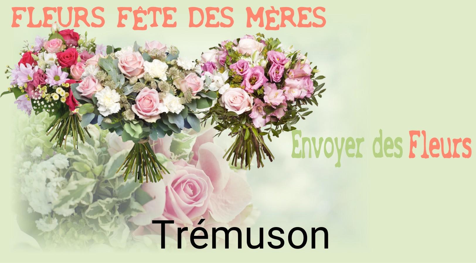 Bouquet de Fête des Mères livré à Trémuson